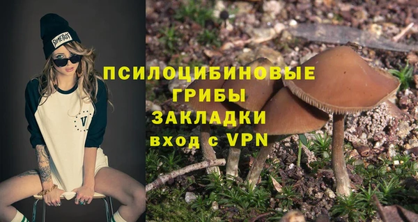 спайс Алексеевка